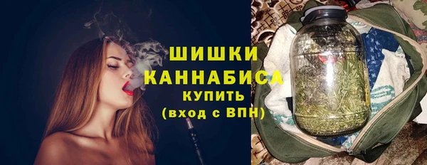 амф Краснослободск