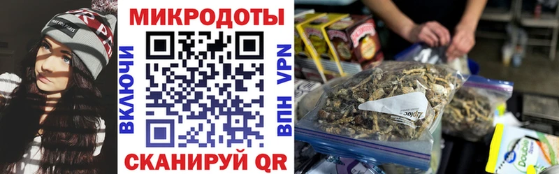 мега зеркало  купить наркотик  Новодвинск  Псилоцибиновые грибы MAGIC MUSHROOMS 