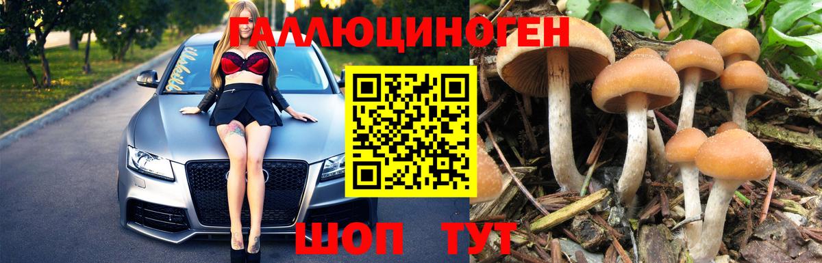 Новодвинск  Галлюциногенные грибы мицелий  Вход с VPN  Псилоцибиновые грибы мицелий 