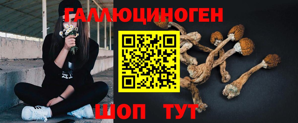 Галлюциногенные грибы Cubensis Новодвинск